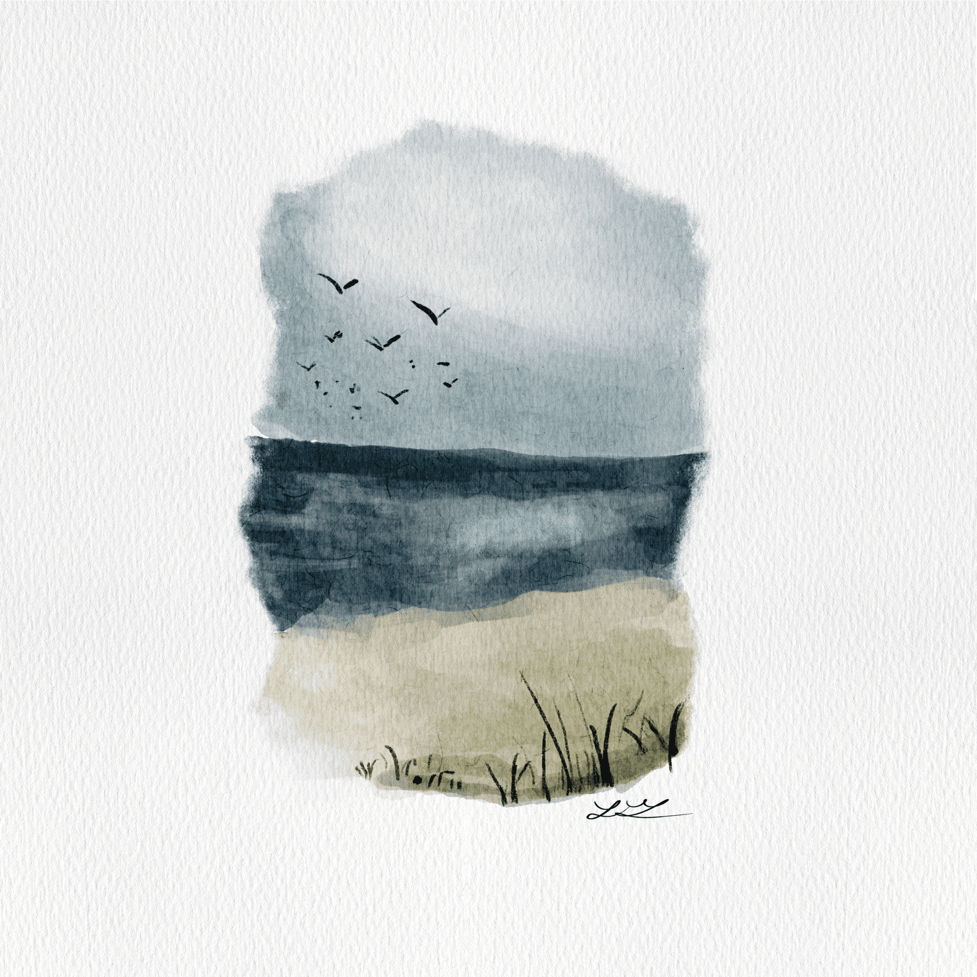 duck_nc_