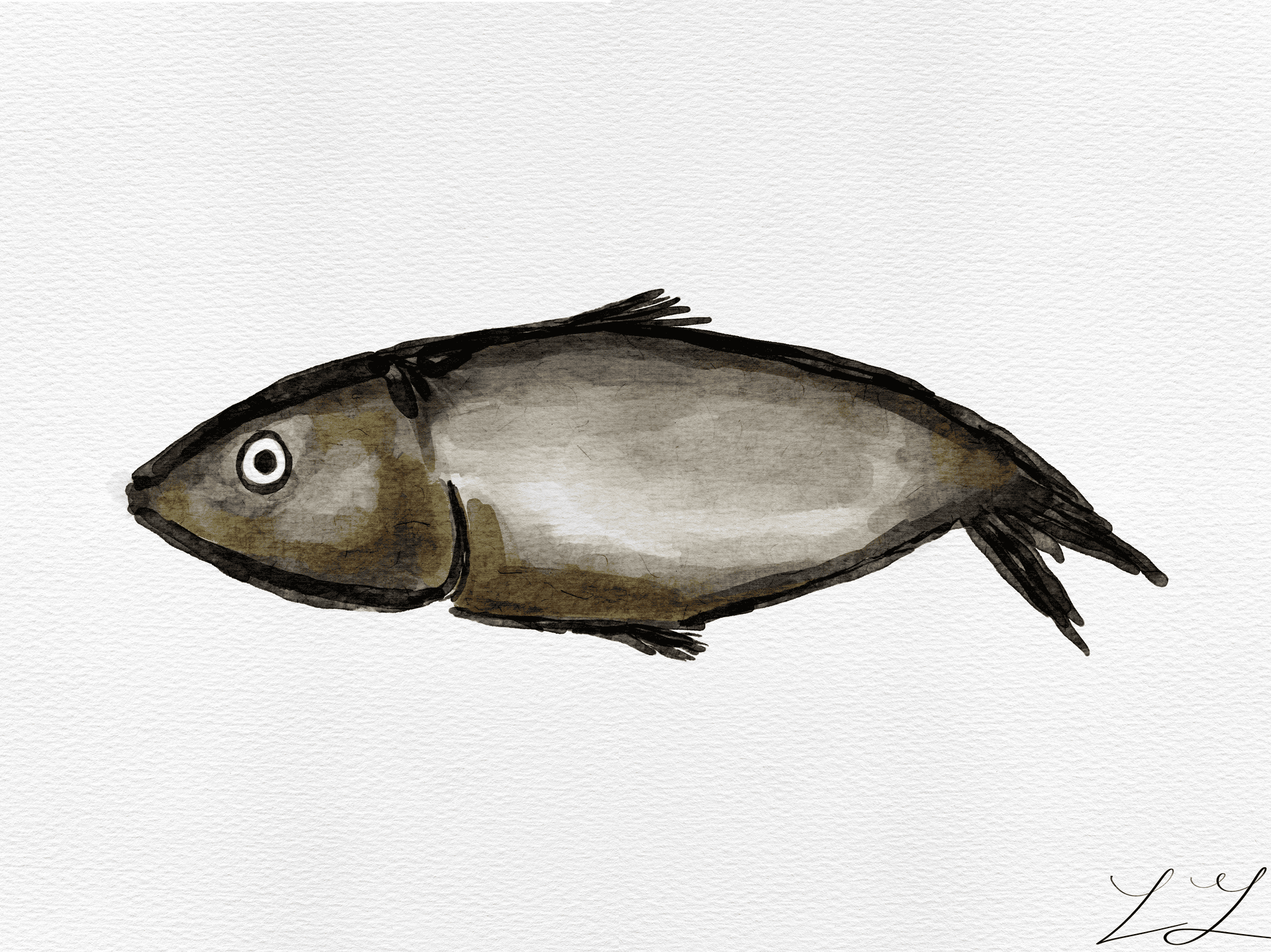 fish